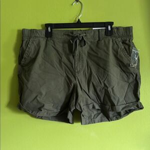 NWT Sonoma Green Stretch Shorts Size XXL